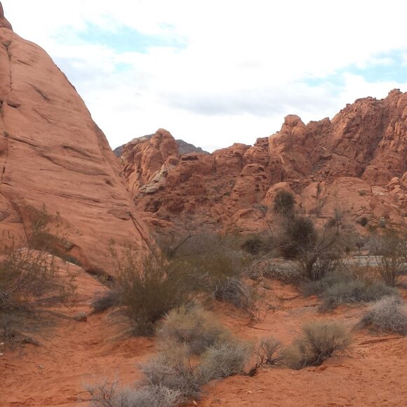 Fossil Collectable 1954 Dude Ranch Watch Tin - Picture 9 of 15